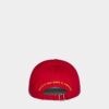 D2 Patch Baseball Cap D2 Patch Baseball Cap