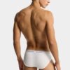 D2 Upside Down Brief D2 Upside Down Brief