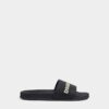 Dsquared2 Logo Slides Dsquared2 Logo Slides