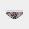 Wild2 Brief