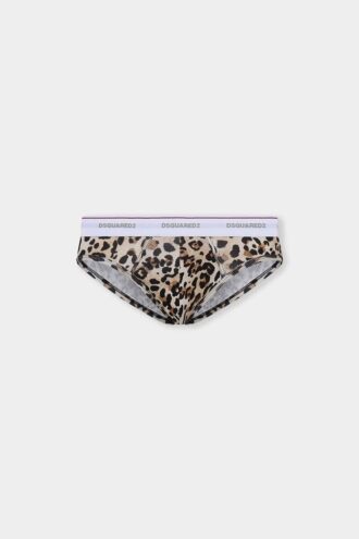 Wild2 Brief Wild2 Brief