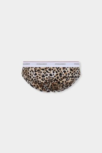 Wild2 Brief Wild2 Brief