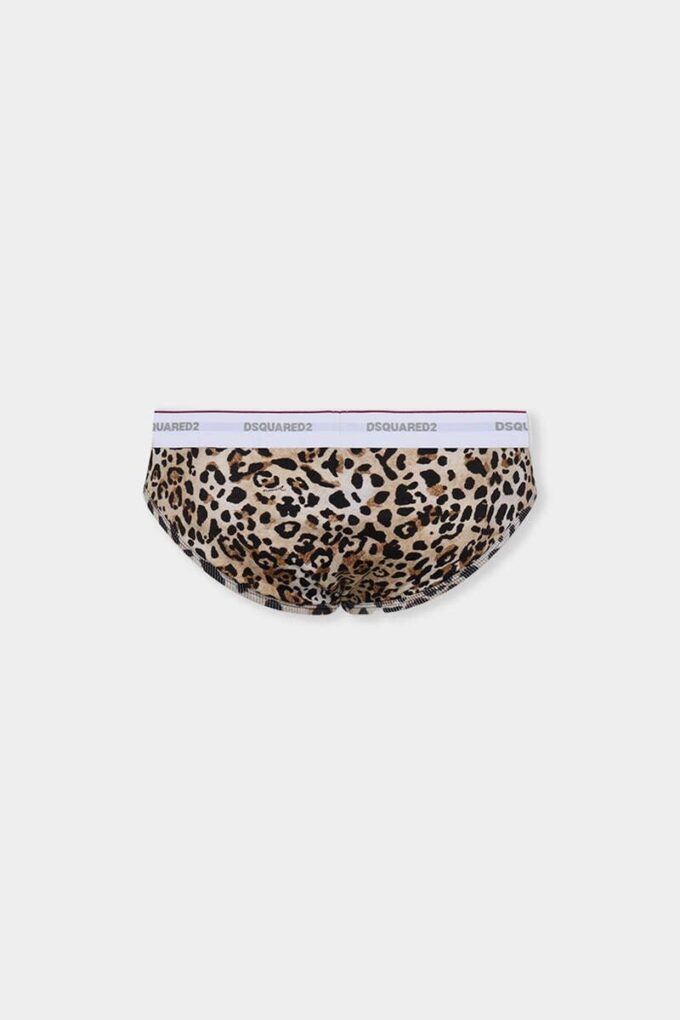 Wild2 Brief