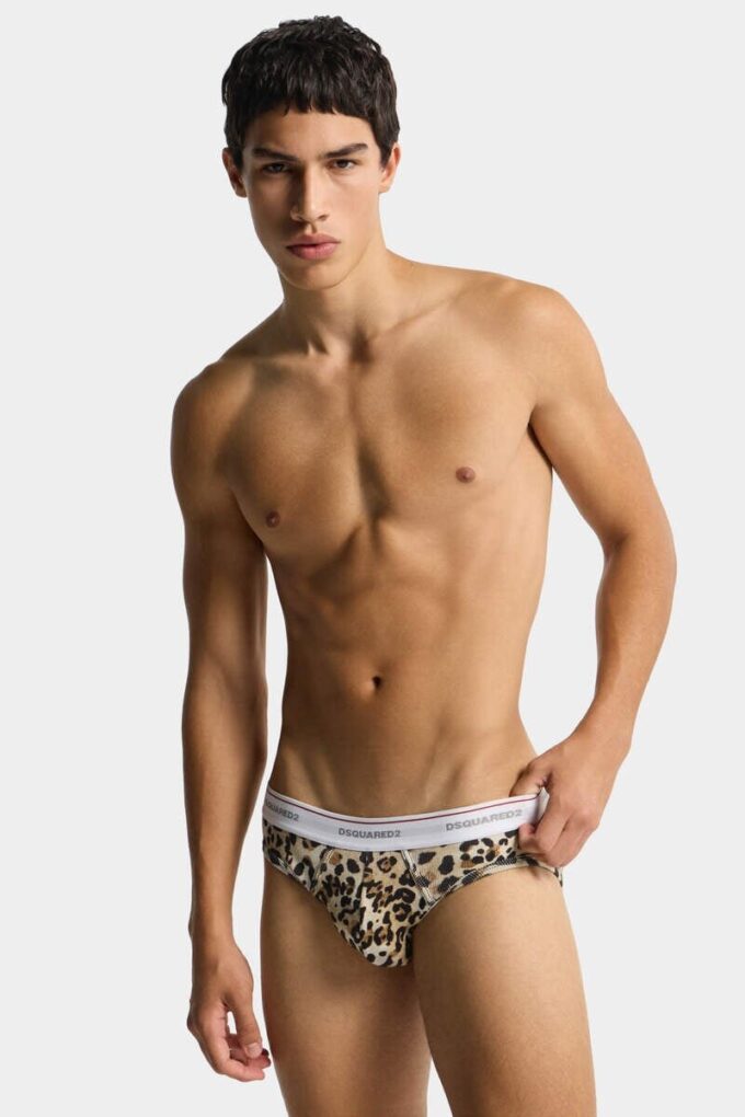 Wild2 Brief