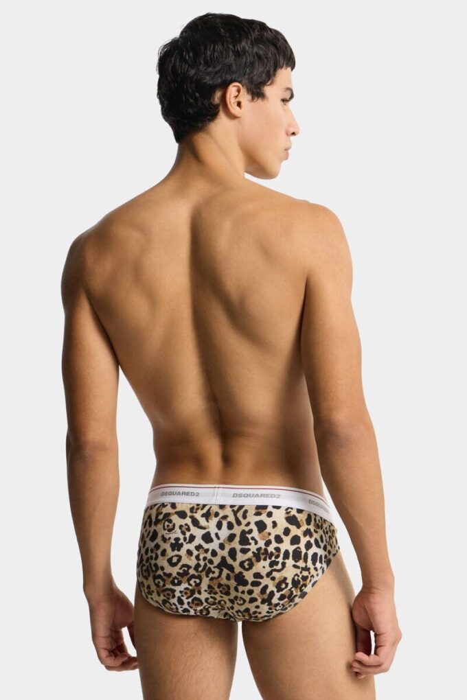 Wild2 Brief